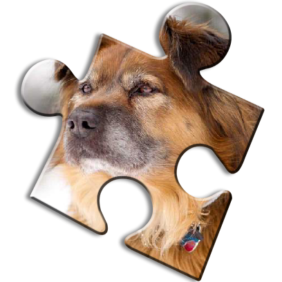 Jigsaw Puzzles - Cool Puzzle Games messages sticker-3