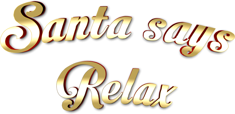 Santa Dash from Santa Guy messages sticker-0