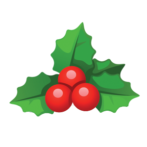 Christmas Countdown Holidays messages sticker-0