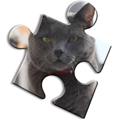 Cat Jigsaw Puzzles messages sticker-1