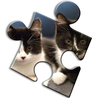 Cat Jigsaw Puzzles messages sticker-6
