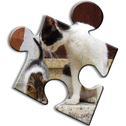 Cat Jigsaw Puzzles messages sticker-4