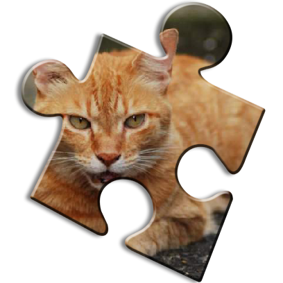 Cat Jigsaw Puzzles messages sticker-10