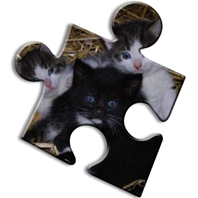 Cat Jigsaw Puzzles messages sticker-9