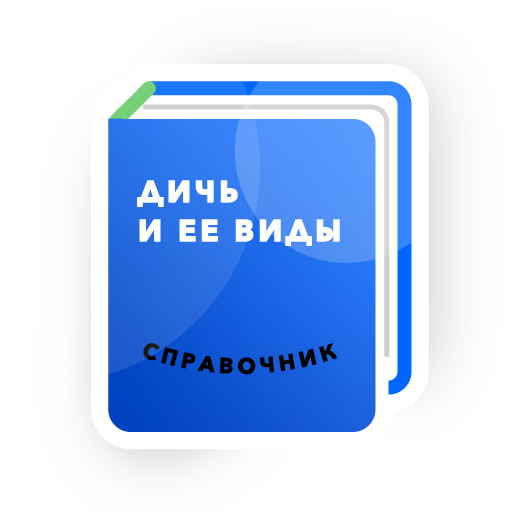 Stepik: best online courses messages sticker-8