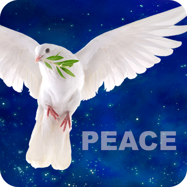 Wishes * Dreams Come True. Create Your New Reality messages sticker-3