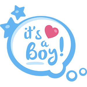Babynote - Pregnancy Timeline messages sticker-0