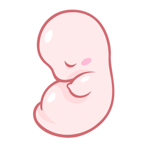 Babynote - Pregnancy Timeline messages sticker-10