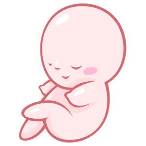 Babynote - Pregnancy Timeline messages sticker-11