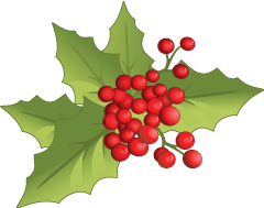 Christmas wallpapers & Home Themes for lock screen messages sticker-11
