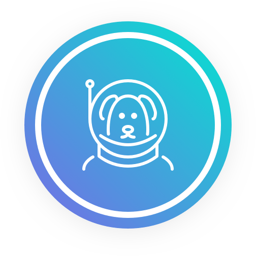 Wrisk – Insurance in minutes messages sticker-10