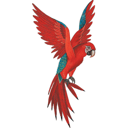 L'Odyssée des Rêves messages sticker-4