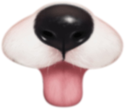 Funny Face - Filters Pic Swap Effects Photo Editor messages sticker-7