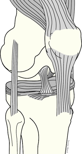 Anatomist – Anatomy Quiz Game messages sticker-11