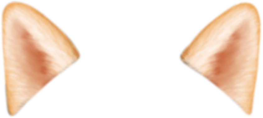 Funny Face - Filters Swap Effects Pic for Snapchat messages sticker-6