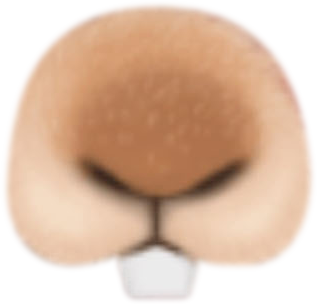 Funny Face - Filters Swap Effects Pic for Snapchat messages sticker-5