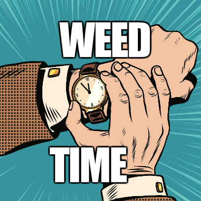 Weed Stickers messages sticker-9