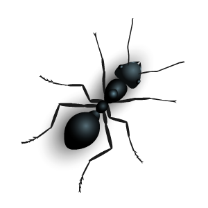 Insect Stickers messages sticker-11