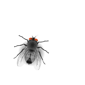 Insect Stickers messages sticker-3
