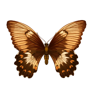 Insect Stickers messages sticker-9