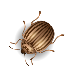 Insect Stickers messages sticker-2