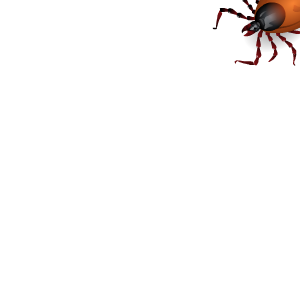Insect Stickers messages sticker-7