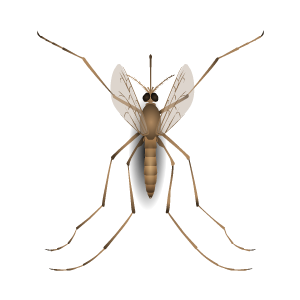 Insect Stickers messages sticker-5