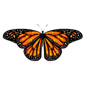 Butterfly Stickers messages sticker-1