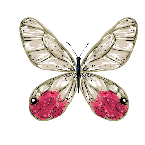 Butterfly Stickers messages sticker-2