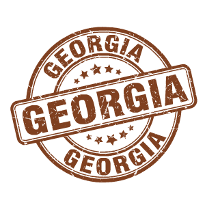 Georgia Stickers messages sticker-8