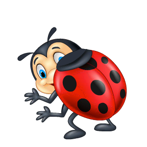 Ladybug Stickers messages sticker-1