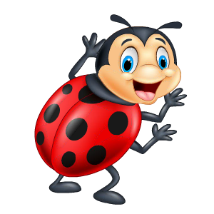 Ladybug Stickers messages sticker-0