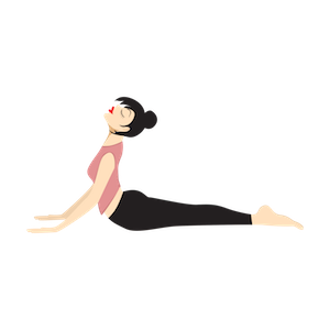 Sun Salutation Yoga Positions for Surya Namaskar messages sticker-7