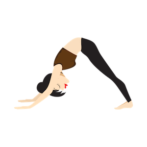 Sun Salutation Yoga Positions for Surya Namaskar messages sticker-3