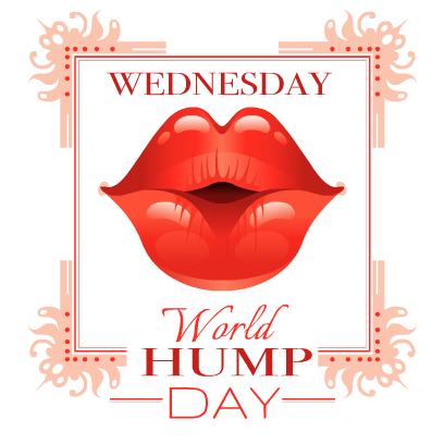 Hump Day Stickers messages sticker-4