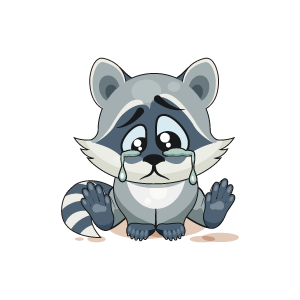 Raccoon Stickers messages sticker-2