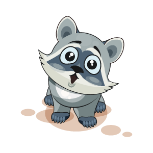 Raccoon Stickers messages sticker-5