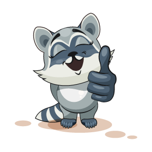 Raccoon Stickers messages sticker-7