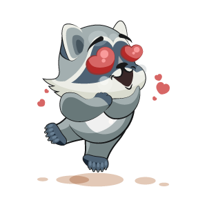 Raccoon Stickers messages sticker-9
