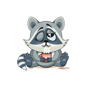 Raccoon Stickers messages sticker-4