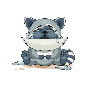 Raccoon Stickers messages sticker-11