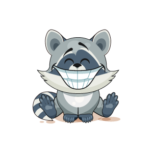 Raccoon Stickers messages sticker-10