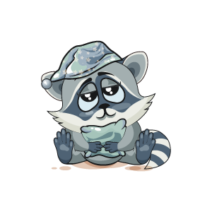 Raccoon Stickers messages sticker-8