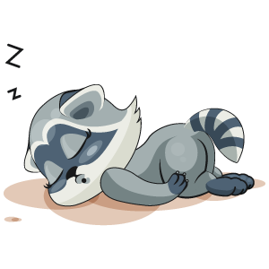 Raccoon Stickers messages sticker-6
