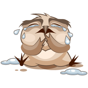 Owl Stickers messages sticker-11