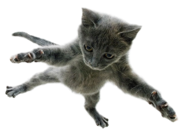 Kitty Stickers-Superimpose Photo Stamps! messages sticker-5