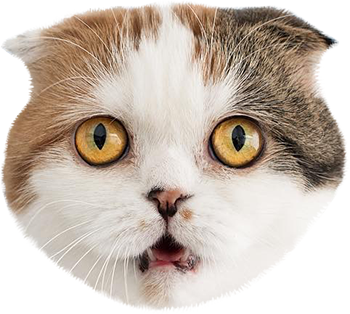 Cat Stamp! Cute Stickers of Cats messages sticker-10