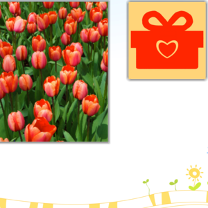 QSware Party messages sticker-10