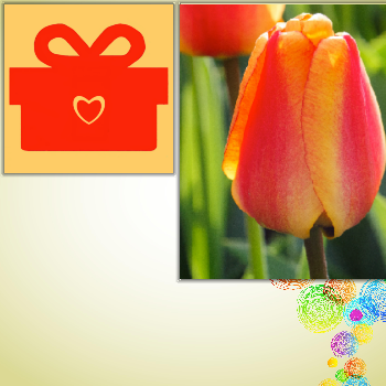 QSware Party messages sticker-6