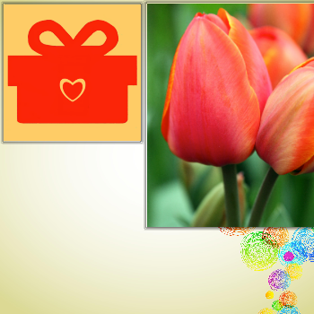 QSware Party messages sticker-0